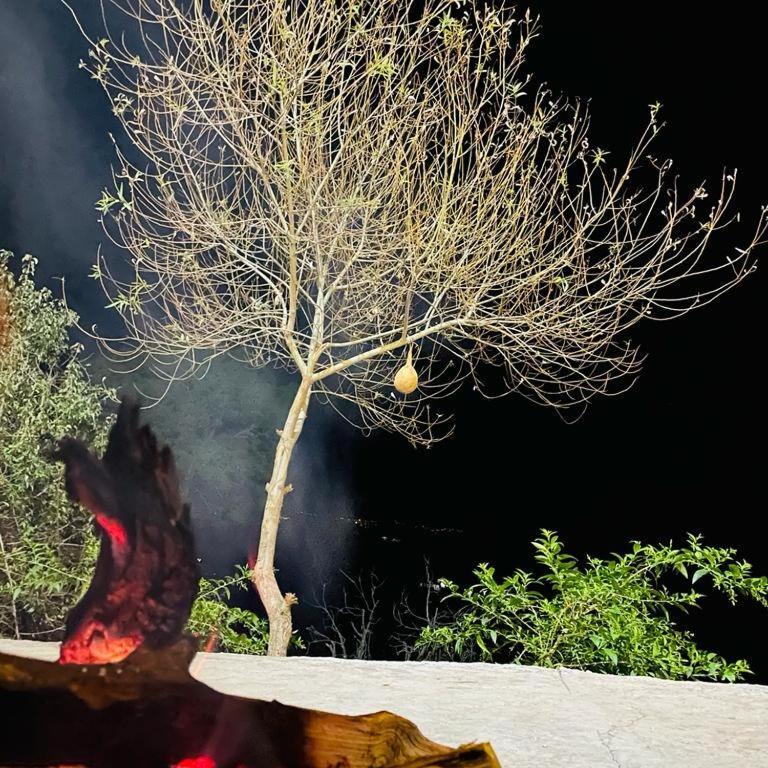 לינה וארוחת בוקר The Asgard קסאולי מראה חיצוני תמונה